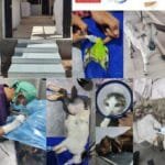 પશુ-પક્ષીનું ખોરાક પત્રક