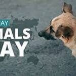 4 એપ્રિલે, વિશ્વ ઉંદર દિવસ ઉજવવામાં આવે છે.