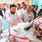 ફળની ગોટલી ફેંકો નહીં, વૃક્ષ વાવો – પર્યાવરણ માટે નાનો પ્રયાસ, મોટો ફેરફાર