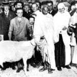 મૂલ્યલક્ષી શિક્ષણથી બને સંસ્કારકાંઠો:આનંદ પરિવારનો અનોખો પ્રયત્ન