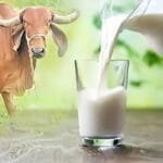 રાજકોટનાં સેવાભાવી અગ્રણી રમેશભાઇ ઠકકરનો તા.1, જુન, રવિવારના રોજ જન્મદિન : 77 માં વર્ષમાં મંગલ પ્રવેશ