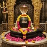 જુવાર, બાજરા, રાગી, સામા, કાંગની, ચીના, કોડો, કુટકી, કુત્તુ – સ્વાસ્થ્યવર્ધક મિલેટ