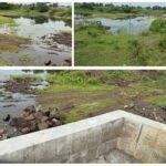 On the occasion of National Nutrition Week (1st to 7th September), the Global Confederation of Cow-Based Industries (GCCI) emphasizes the importance of cow-based farming and organic food.