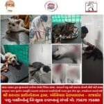 સ્વતંત્રતાના પવિત્ર દિવસે સમસ્ત મહાજનનો એક અનોખો સંકલ્પ.