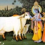 श्री कृष्ण जन्माष्टमी के अवसर पर : गौ चिंतन