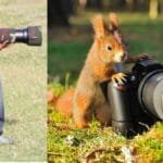 19 ઓગસ્ટ, “વિશ્વ માનવતાવાદી દિવસ”