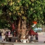 આહાર અને આધ્યાત્મનો ઊંડો સંબંધ છે – આચાર્ય લોકેશજી