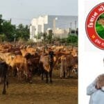 સૌરાષ્ટ્રના સૌથી મોટા શોર્યનું સિંદૂર લોકમેળામાં ગીરગંગા પરિવાર ટ્રસ્ટ દ્વારા ચાલતા પાણી બચાવો અભિયાનની અસંખ્ય લોકોએ માહિતી મેળવી.