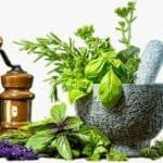 જૈન આચાર્ય લોકેશજી એ રિપબ્લિક ભારત સંવાદને સંબોધિત કર્યું