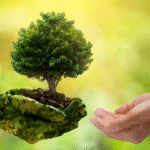 સંતો-મહંતોનાં વરદહસ્તે પ્રથમ નોરતેસાયલા મહાજન પાંજરાપોળ ખાતે ‘એનીમલ હોસ્પીટલ’ નું ખાતમુહર્ત કરાયું .