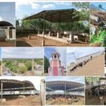 માવતરનું કેમ શ્રાધ્ધ કરશો?