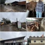 ગુજરાત પ્રદેશ ભારતીય જનતા પાર્ટીના સદસ્ય અને પટેલ સેવાસમાજ (ફીલ્ડમાર્શલ)ના ટ્રસ્ટી દિનેશભાઈ અમૃતિયાનો તા. ૨૦નાં રોજ જન્મ દિવસ