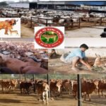 દિવ્યાંગો માટેની વિવિધ સરકારી યોજનાઓ અંગે ભાસ્કરભાઈ પારેખ દ્વારા નિઃશુલ્ક માર્ગદર્શન