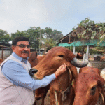 કેળાના પાનની વિશિષ્ટતાઓ