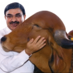 “ગૌશાળા સ્વાવલંબન સેમિનાર – 2025”નું ભવ્ય આયોજન 15 ઓક્ટોબરે, પ્રયાગરાજ (ઉત્તર પ્રદેશ) ખાતે ડૉ. વલ્લભભાઈ કથીરિયા મુખ્ય અતિથિ તરીકે ઉપસ્થિત રહેશે