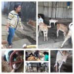 3 ડિસેમ્બર, “વિશ્વ વિકલાંગ(દિવ્યાંગ) દિવસ”