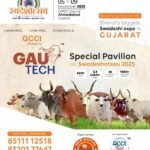 3 ડિસેમ્બર, “વિશ્વ વિકલાંગ(દિવ્યાંગ) દિવસ”