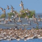 વિશ્વ શાંતિ કેન્દ્ર ખાતે શાશ્વત હિંદુ ફાઉન્ડેશનનો દ્વિદિવસીય રાષ્ટ્રીય સંમેલન પૂર્ણ