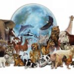 રાજકોટની ભાગોળે આવેલ ‘કિશાન  ગૌશાળા’ માં 2300 ગૌમાતાની  નિઃસ્વાર્થ ભાવે થતી ગૌસેવા.