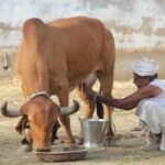 શ્રી કરુણા ફાઉન્ડેશન ટ્રસ્ટ દ્વારા પ્રોફેસર લલિતભાઈ ચંદેના ઓનલાઈન “અંગ્રેજી બોલો હોંશે હોંશે” વિષય પર ટ્રેનિંગ સેશનનું તા.23 ડિસેમ્બર, મંગળવારના રોજ બપોરે 04:00 વાગ્યેથી 05:00 કલાક સુધી નિઃશુલ્ક આયોજન