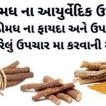 મોરબી જીલ્લાનું નેસડા ગામે ગીરગંગા પરિવાર ટ્રસ્ટ દ્વારા પાણીના જતન માટે     ગ્રામ સભાનું આયોજન.