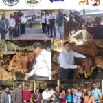 	મકર સંક્રાંતિએ ઘવાયેલા પક્ષીઓની સારવાર માટે એનીમલ હેલ્પલાઇન દ્વારા ”કરુણા અભિયાન–2026” નાં 16–કંટ્રોલ રૂમ કાર્યરત.  એનીમલ હેલ્પલાઈન દ્વારા નવ એમ્બ્યુલન્સ, બે બાઈક એમ્બ્યુલન્સ, નિઃશુલ્ક વેટરનરી હોસ્પીટલ વિવિધ કંટ્રોલ રૂમ દ્વારા પતંગના દોરાથી ઘવાયેલા 430 થી વધુ પક્ષીઓની સારવાર મકર સંક્રાંતિએ ઘવાયેલા પક્ષીઓની સારવાર માટે એનીમલ હેલ્પલાઇન દ્વારા વિશેષ કંટ્રોલ રૂમમાં આણંદ અને જુનાગઢ વેટરનરી કોલેજના વેટરનરી ડોકટરો સહીત 20 ડોકટરો, 30 પેરામેડીકલ તબીબી સ્ટાફ એ ખડેપગે સેવા આપી. ગત વર્ષ કરતા જનજાગૃતિના કારણે પક્ષી ઘવાવાની ઘટના ઓછી બની ઘર પર, ટેરેસ પર, ઓફિસ પાસે, વિજયળીના થાંભલા પર, જાહેર સ્થળોએ લટકતા દોરા પક્ષીઓ માટે ફાંસીના ગાળીયા સમુ કામ કરે છે જે હટાવી લેવા સંવેદનાસભર અપીલ. 14 મી જાન્યુઆરી એ 381 કેસ, 15 મી જાન્યુઆરીએ સવારે 11 વાગ્યા સુધીમાં 15થી પણ વધુ કેસ આવ્યા  એનિમલ હેલ્પલાઈનનો મેડીકલ સ્ટાફ, પેરા મેડીકલ સ્ટાફ ખડે પગે રાજયભરમાં ઉતરાયણનાં તહેવાર ઉમંગપૂર્વક ઉજવાયો.  આજે ડ્રોન દ્વારા પણ પક્ષીઓ બચાવવામાં માટેની કામગીરી પણ હાથ ધરાઈ છે.