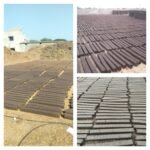 વૈદિક હોળી કરીને વૃક્ષો અને ગાયોને બચાવીએ.