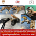 21 ફેબ્રુઆરી, “વિશ્વ માતૃભાષા દિવસ”