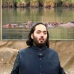 King of profitable site your own Nile 2 Slot Understand the Slot machine View