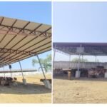 Przykłady zastosowania pojęcia zmienności w automatach Vox