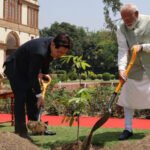 “एक पेड़ माँ के नाम” पहलपर्यावरण संरक्षण और मातृत्व को समर्पित एक अनोखी मुहिम